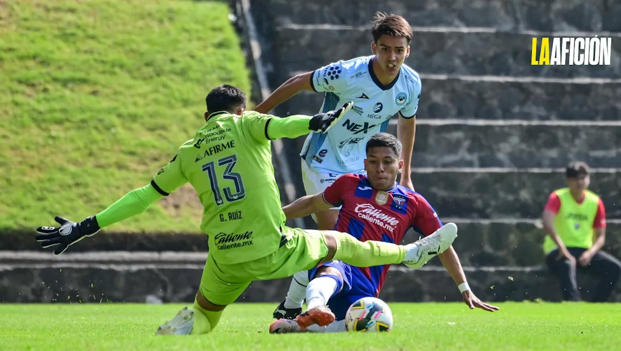 “Quedamos lejos de representarlos”: directiva de la Jaiba Brava a sus aficionados