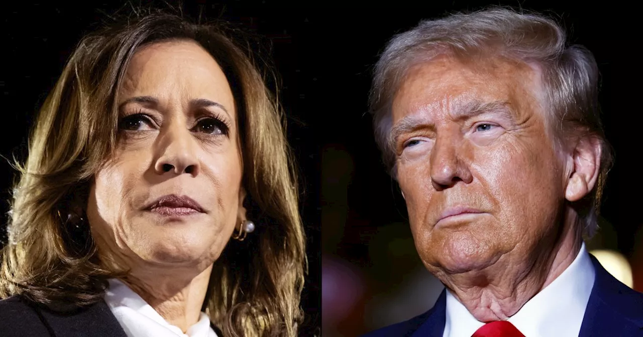 Trump and Harris host final rallies ahead of Election Day: Live updates and analysis