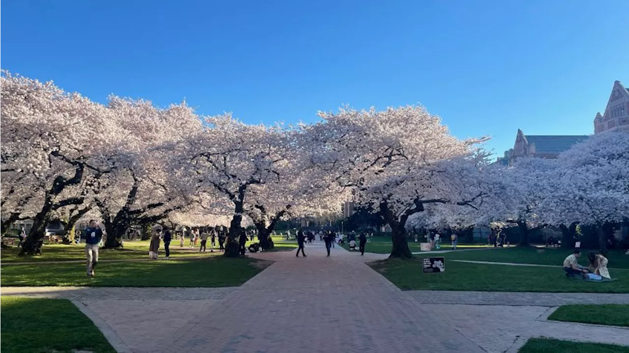 University of Washington makes major contribution to local economy, jobs