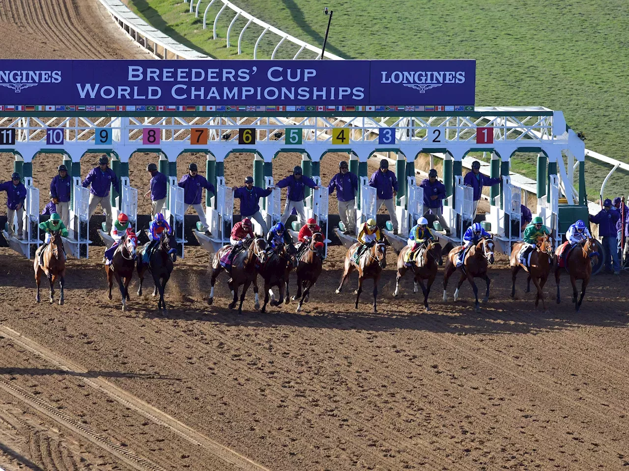 Breeders' Cup returns to Del Mar for fall racing season Horse Racing