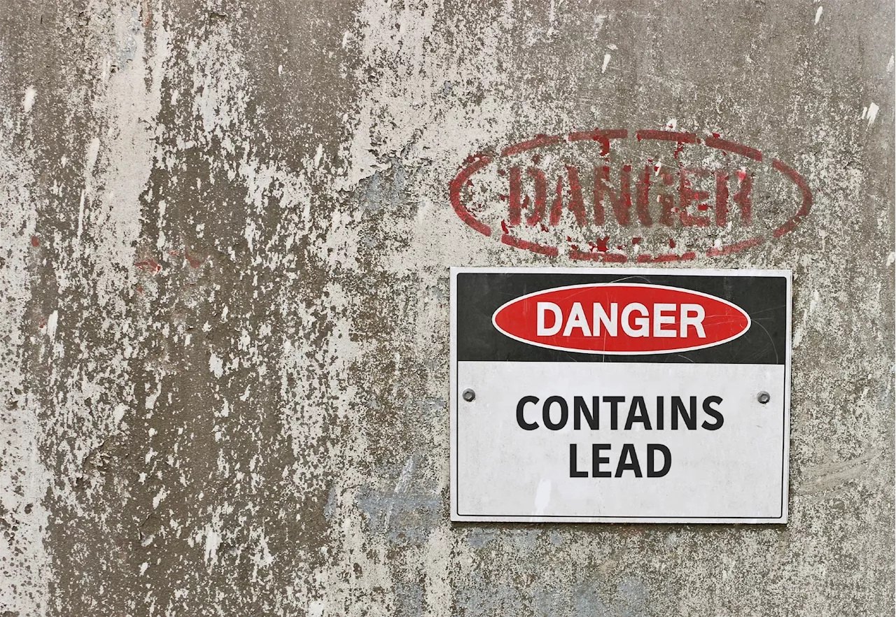 Lead exposure still poses health risks for millions worldwide, study finds