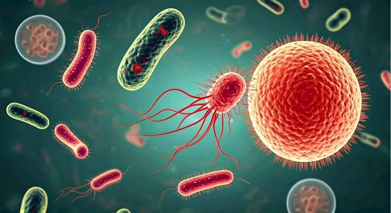 New pathway discovery explains MRSA's high-level antibiotic resistance