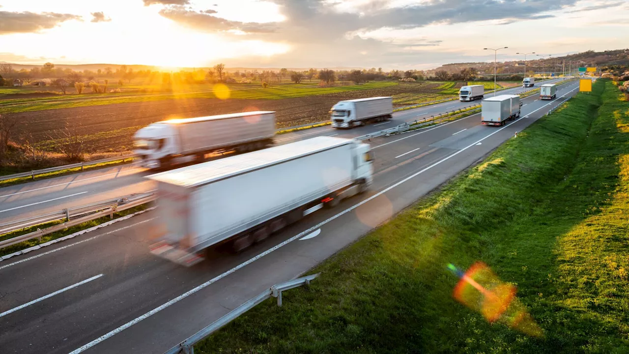 DHL will Klein- und Mittelunternehmen unterstützen, globaler zu werden