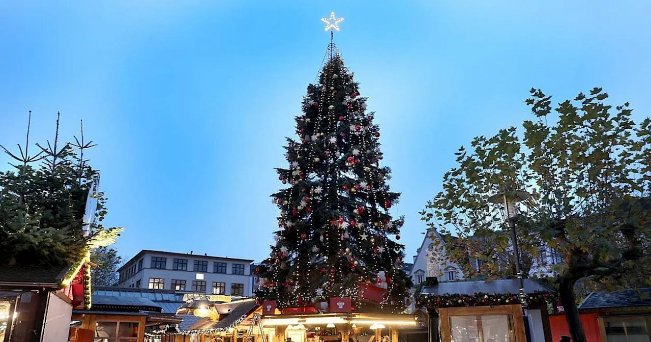 Herforder Weihnachtsmarkt 2024: Funkelnde Lichter und Glühweinduft im Herzen der Stadt