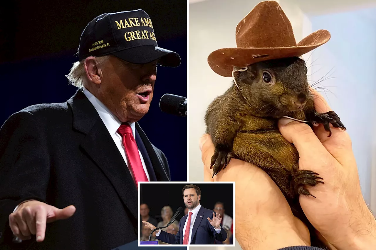 JD Vance says Trump is 'fired up' over death of P'nut the squirrel: 'The Elon Musk of squirrels'