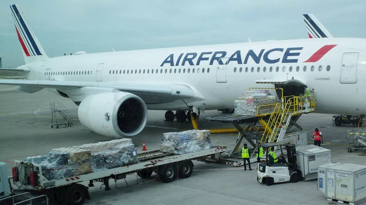 Air France suspend par précaution le survol de la zone de la Mer Rouge