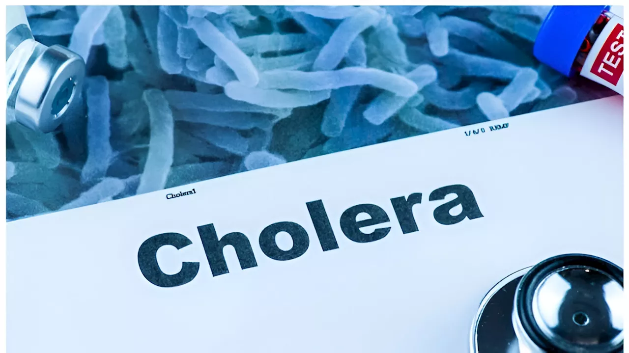 Cholera: USAID awards N1.72bn grant to Lagos-based organisations
