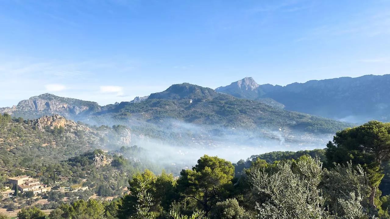 Schock-Fund in Wald auf Mallorca: Pilzsammler finden Leiche von vermisstem 19-Jährigen