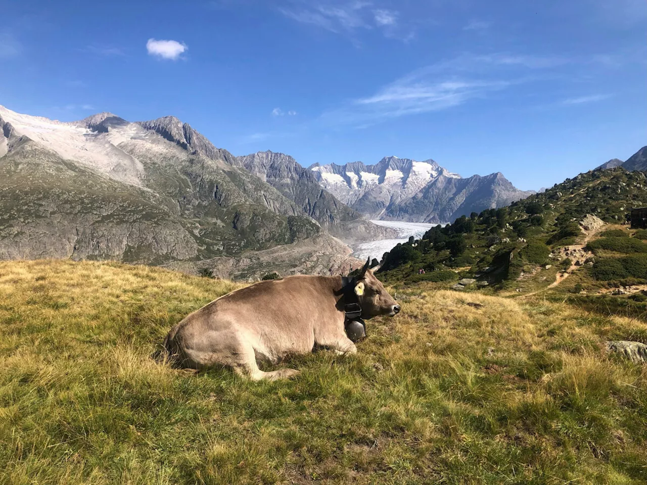 Wallis stimmt über umstrittenes Klimagesetz ab