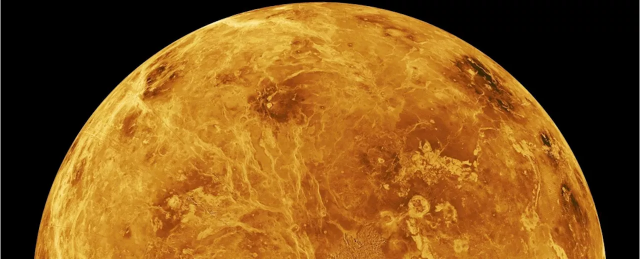 A Hidden Breed of Impact Craters Has Been Lurking on Venus Undetected