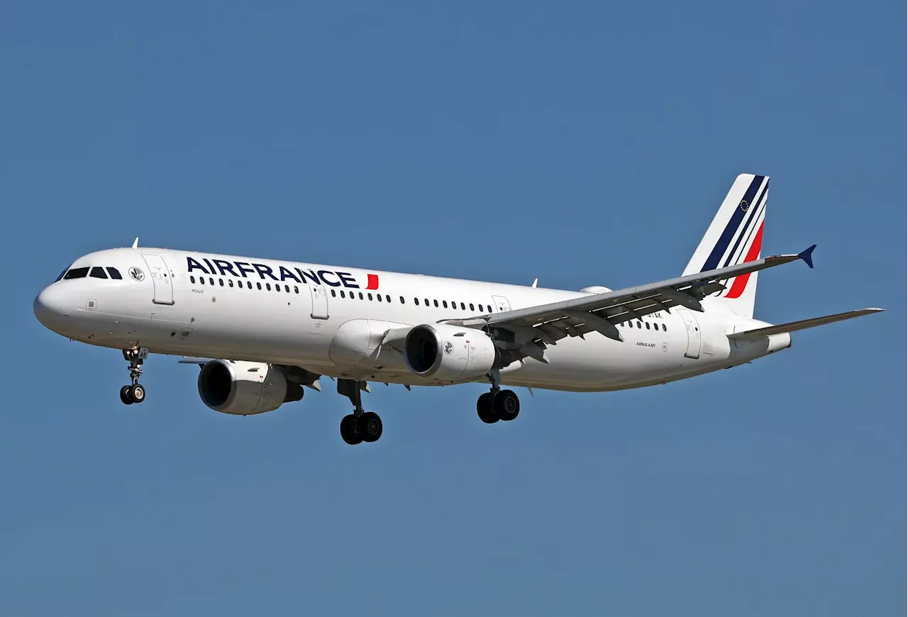 Air France suspende 'por precaução' voos sobre a zona do Mar Vermelho