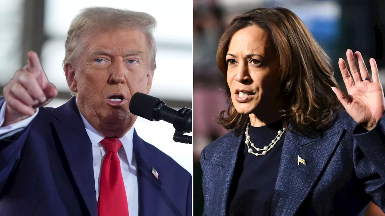 US election latest: Harris team reveals when they expect results; US election officials protected with bulletproof vests and snipers