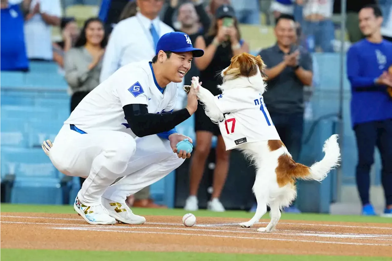 ドジャース・大谷 「閲覧王」連覇！PV時間は驚異の371万6965分 受賞ラッシュ号砲