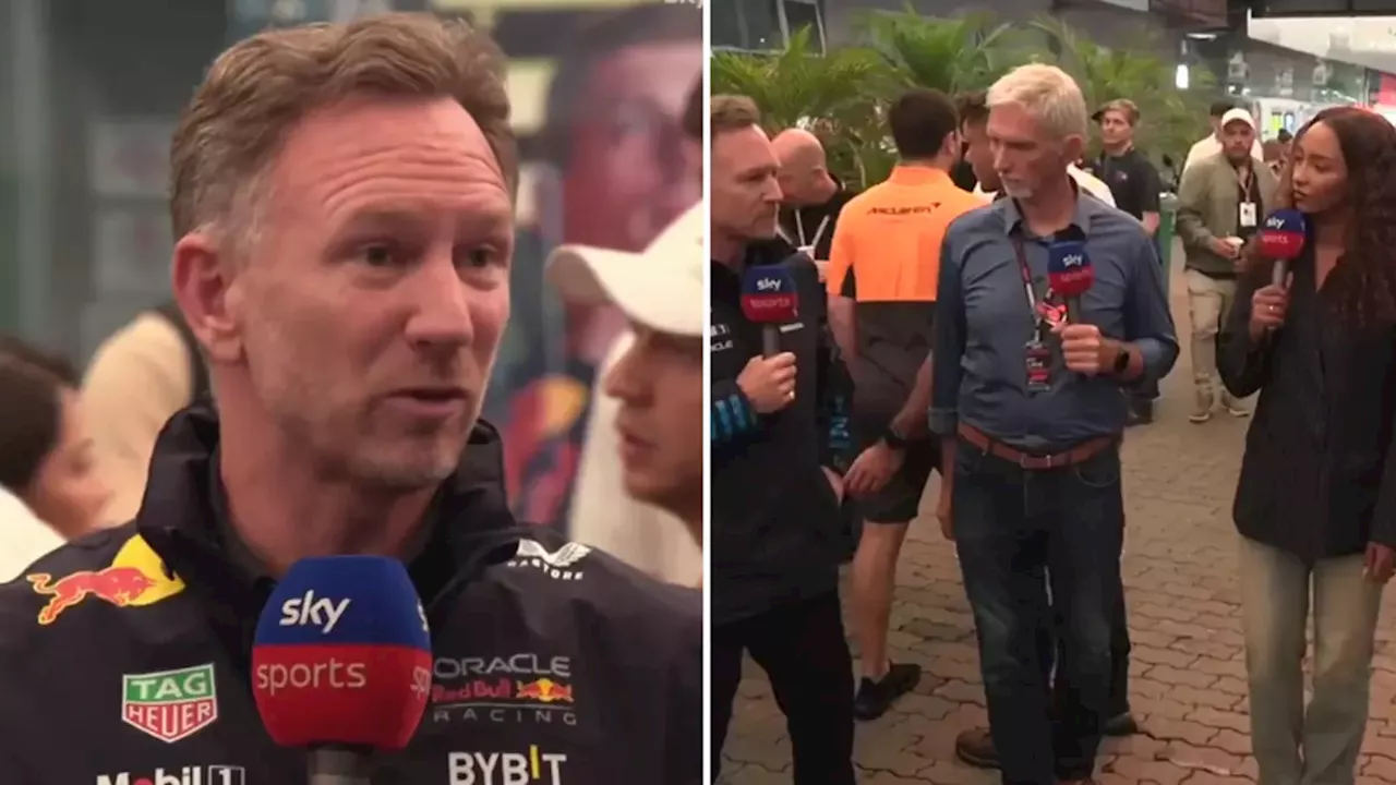 Christian Horner mocks Sky Sports pundit over Max Verstappen comment after stunning Brazilian GP win