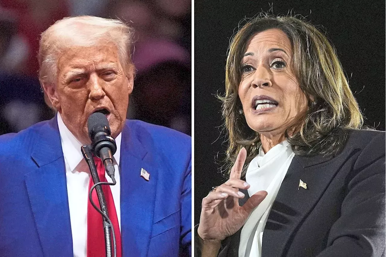 Kamala Harris vs Donald Trump Who is better for Asia? Kamala Harris