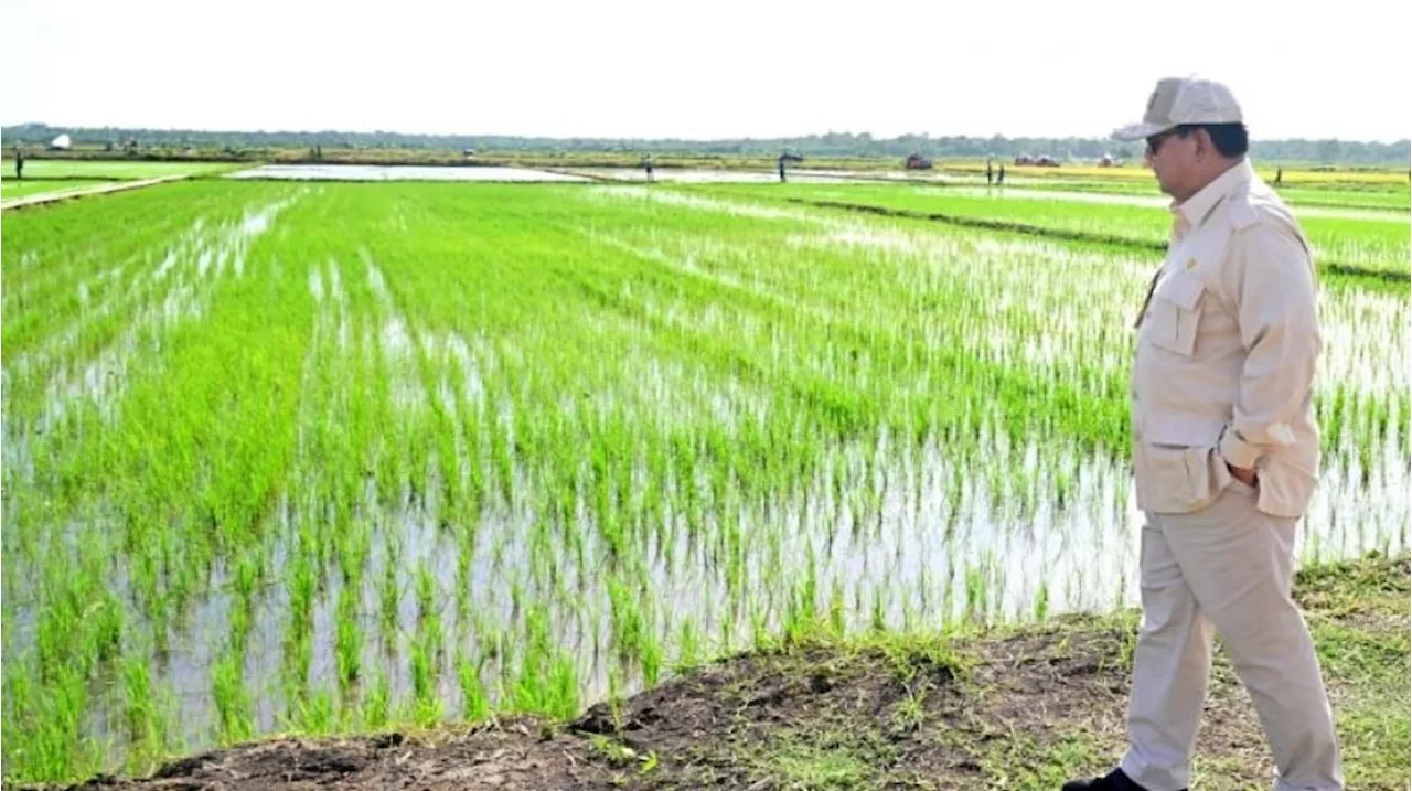 Mentan Ajak Warga Kalsel Dukung Proyek 500 Ribu Hektar Sawah, Skema Kerjasama 70:30