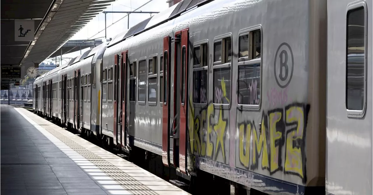 Un jeune heurté par un train entre le quai et le passage à niveaux à Carnières
