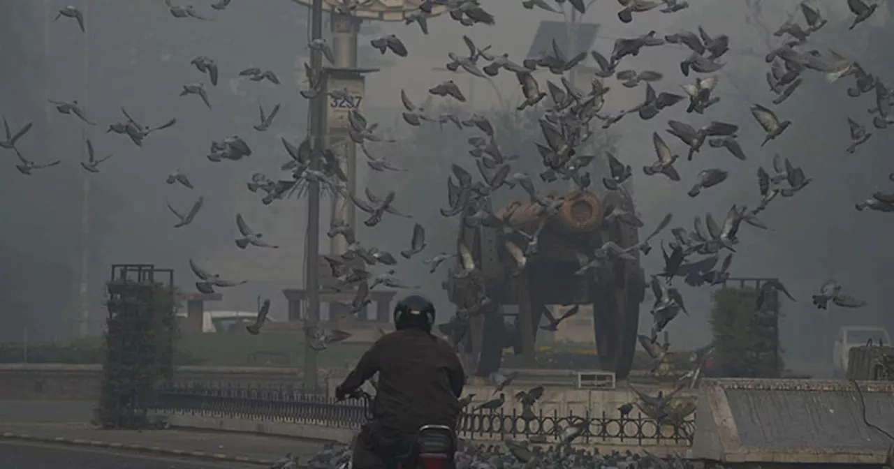 Pakistan shuts primary schools for a week in Lahore due to dangerous air quality