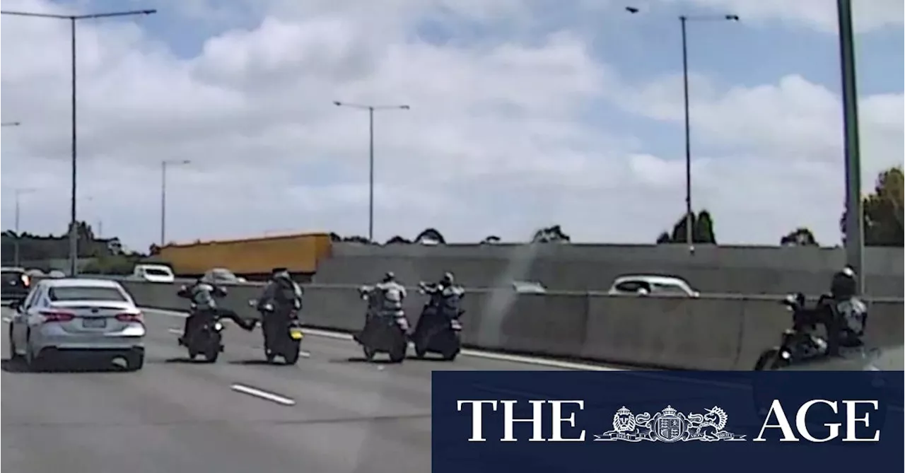 Mongols try to punch and kick learner motorcyclist on Monash Freeway