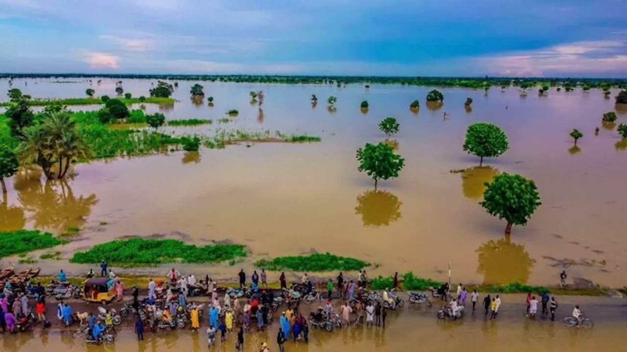 Climate Watch: 321 killed, 740,000 displaced nationwide by flooding, says NEC