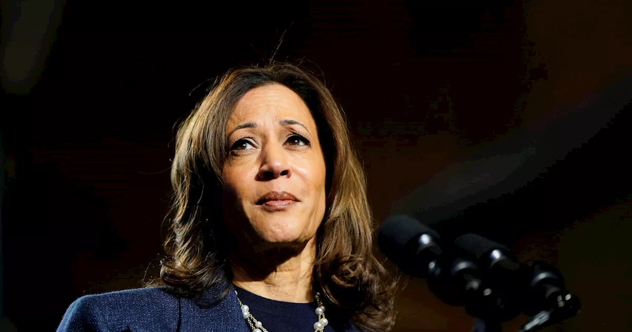 Top Pollster Predicts Time Election Result Will Be Clear in Event of Harris Victory