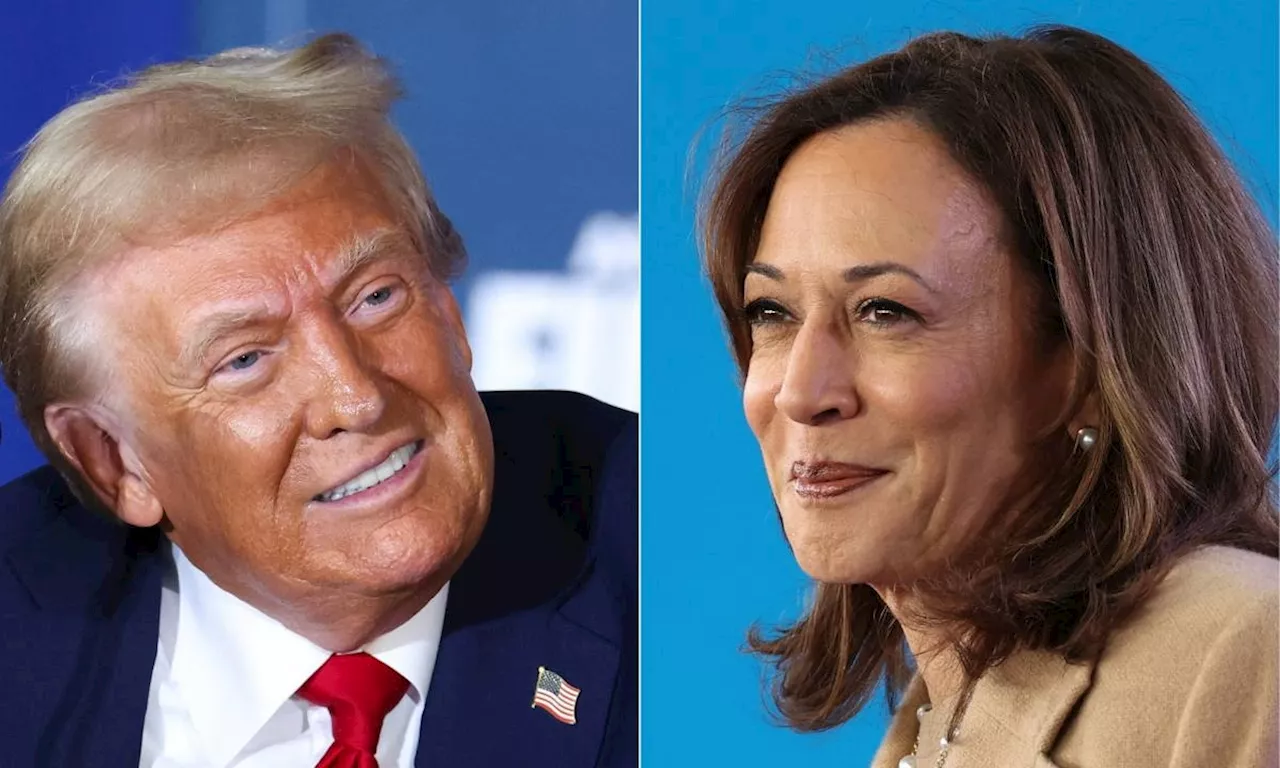 Final US campaign blitz for Harris, Trump