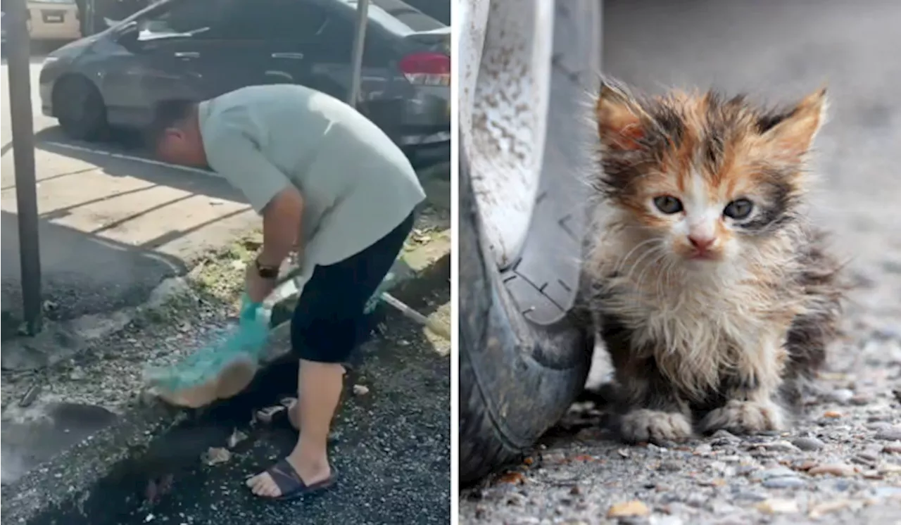 Old Man Captures Stray ‘Oyen’ In Net For Pooping Around His Flat’s Compound