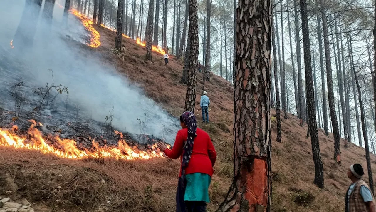 उत्तराखंड में जंगलों की आग पर काबू पाने के लिए पर्याप्त बुनियादी ढांचे की कमी: रिपोर्ट