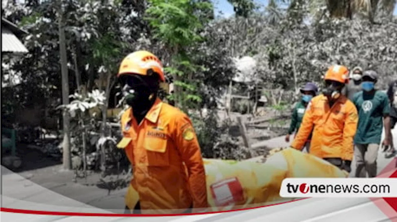 Tim SAR Mampu Evakuasi 9 Jenazah Korban Letusan Gunung Lewotobi