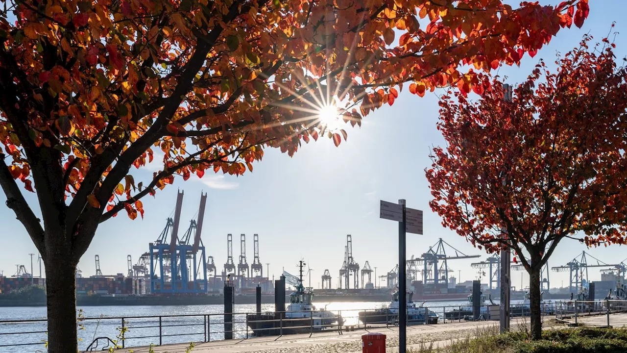 Wetter in Deutschland: Hoch sorgt für 'frühlingshafte Wärme' am Montag