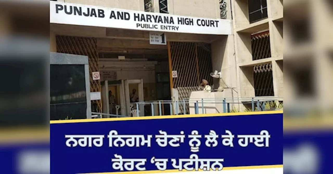 High Court News: ਨਗਰ ਨਿਗਮ ਤੇ ਮਿਊਂਸੀਪਲ ਚੋਣਾਂ ਨਾ ਕਰਵਾਏ ਜਾਣ ਤੇ ਹਾਈ ਕੋਰਟ ਚ ਪਟੀਸ਼ਨ ਦਾਖ਼ਲ