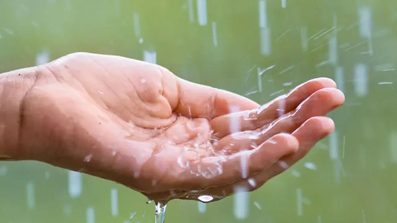 Kerala Rain Alert: സംസ്ഥാനത്ത് ശക്തമായ മഴയ്ക്ക് ശമനം; ഇന്ന് പ്രത്യേക മുന്നറിയിപ്പുകളില്ല!