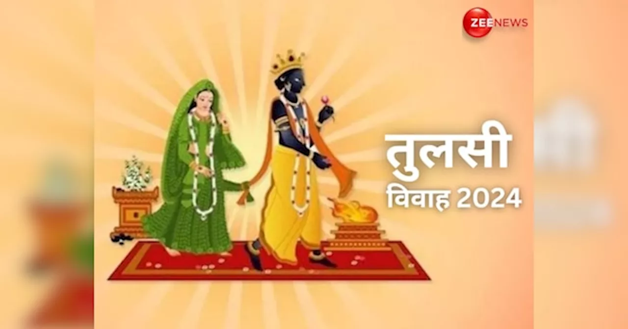 Tulsi Vivah 2024: 12 या 13 नवंबर कब है तुलसी विवाह? जान लें सही तारीख, शुभ मुहूर्त और महत्व