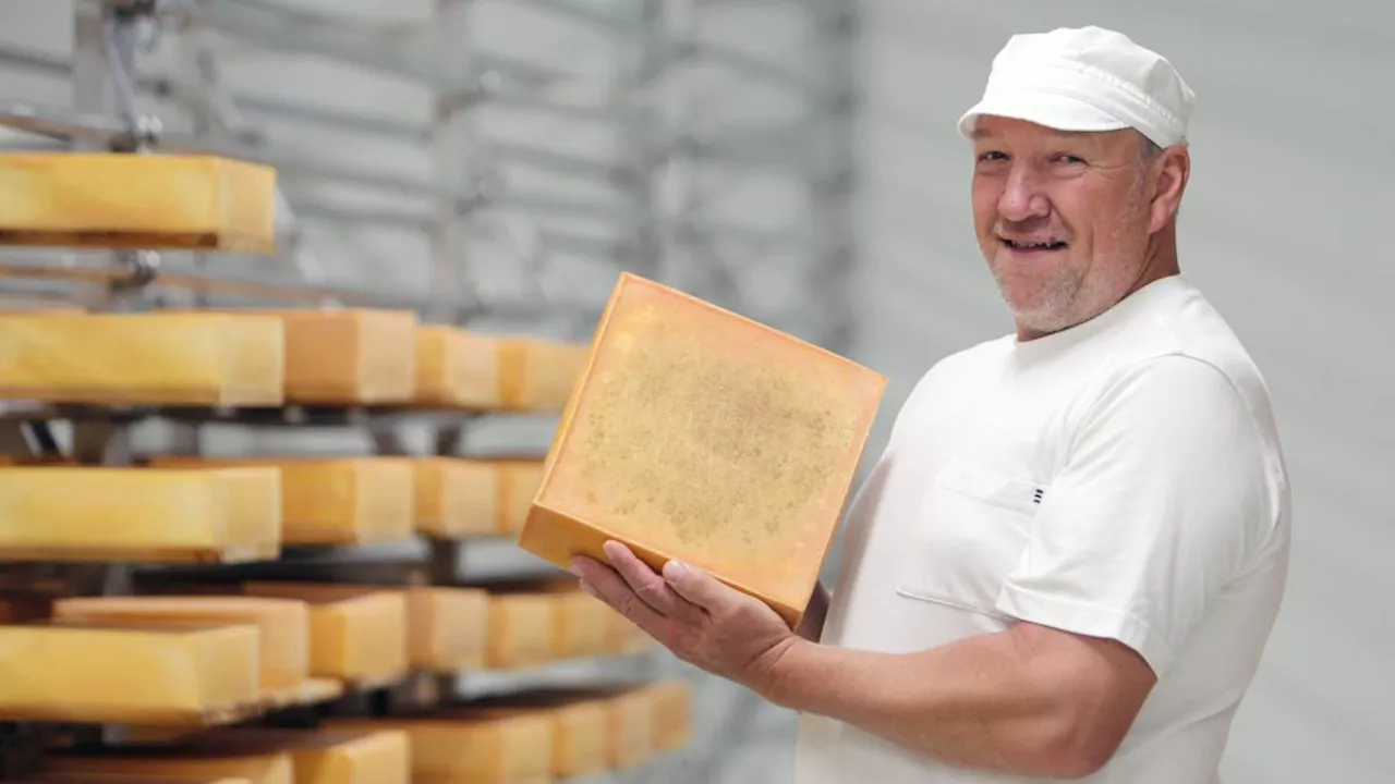 Dellendale Creamery named best cheese in Australia at 26th Grand Dairy Awards