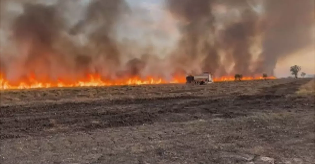 Bushfire danger forces evacuation of hundreds of people from Queensland town