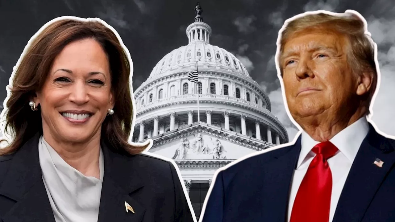 Trump Vs Harris: हर पोल कुछ कहता है! वोटिंग से ठीक पहले कौन किस पर भारी, सर्वे कर रहे तस्वीर साफ?