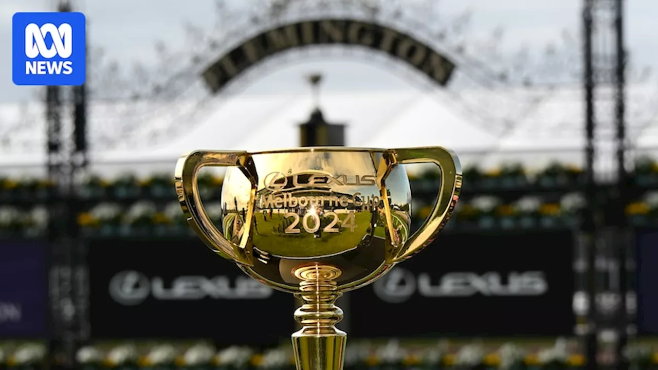 Melbourne Cup 2024 finishing order from first to last