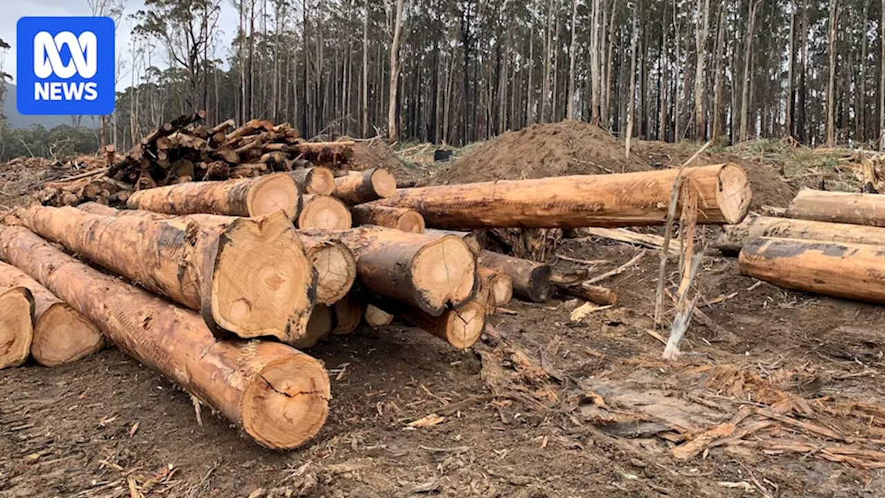 Timber industry leader calls for country of origin labeling on imported products