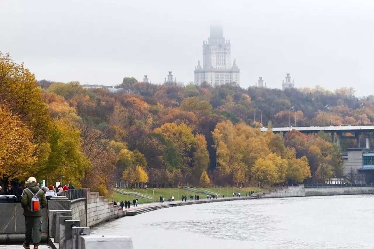 Синоптик Позднякова спрогнозировала потепление в выходные в Москве