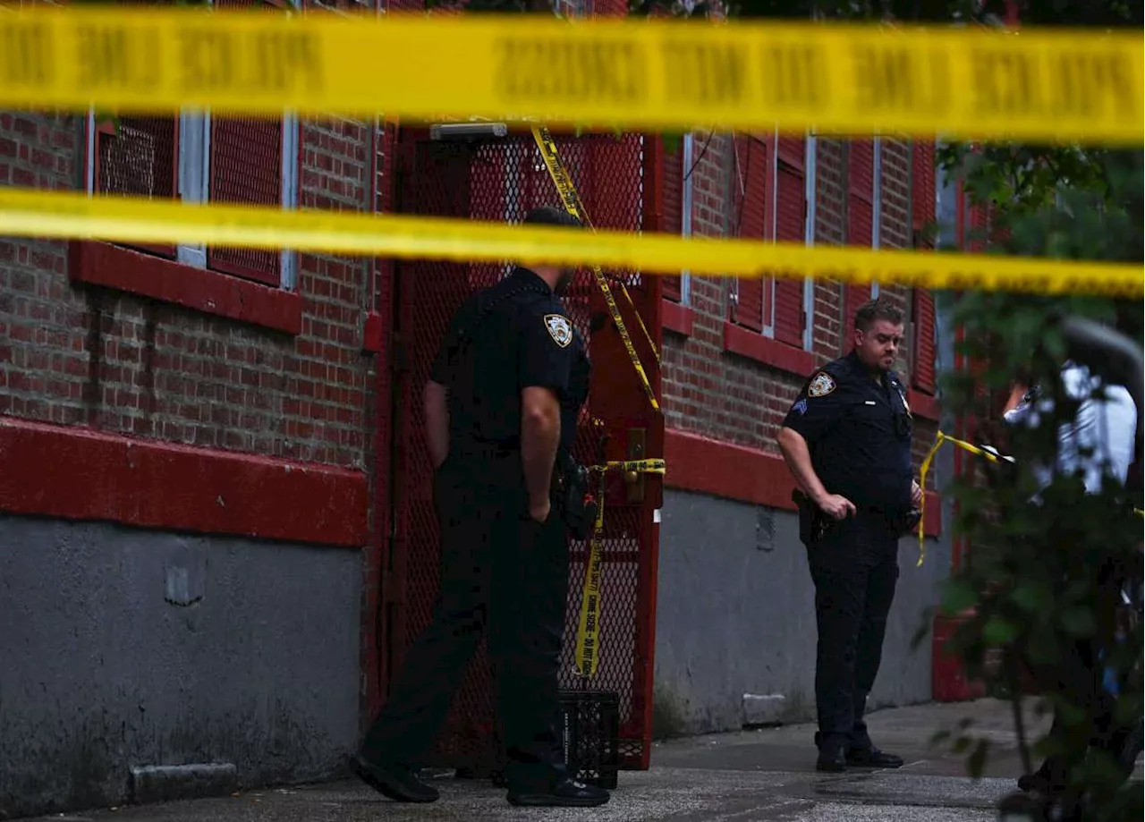 Police investigating after 25-year-old man is stabbed to death in the Bronx