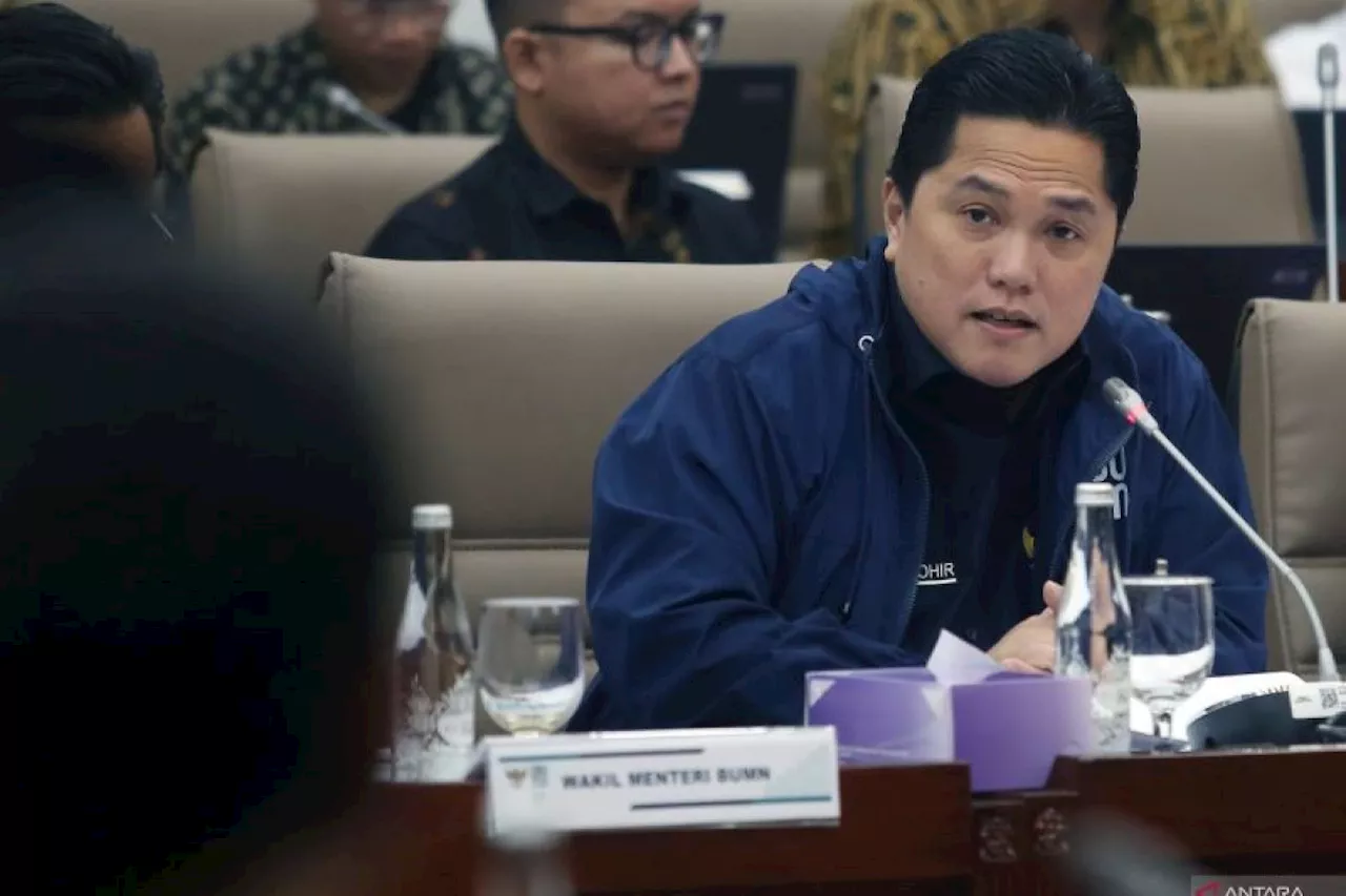 Erick Thohir: Sebanyak 85 persen atau 40 BUMN sehat, 7 dalam proses