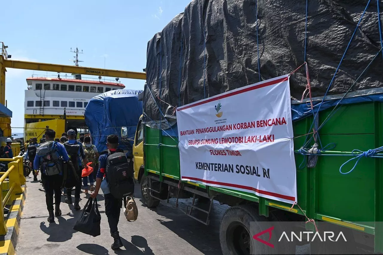 Kemensos kirim tim relawan dan bantuan logistik untuk korban erupsi Gunung Lewotobi Laki-laki