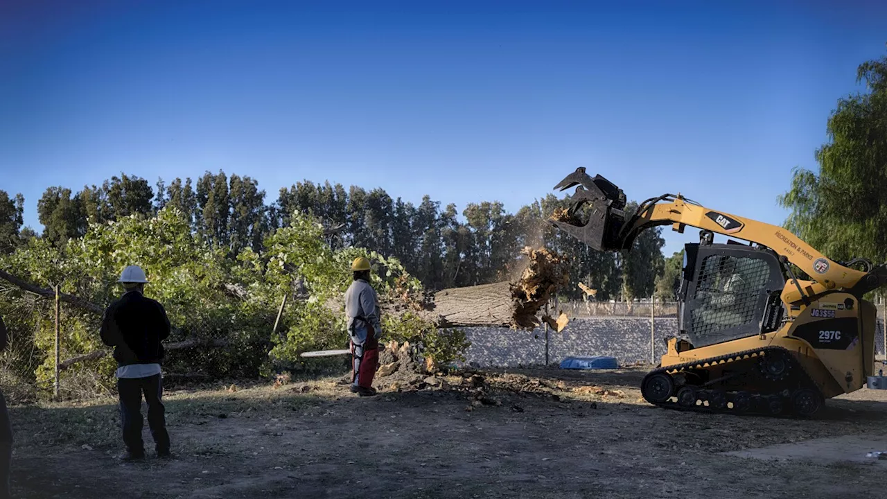 Another round of powerful, dry winds to raise wildfire risk across California