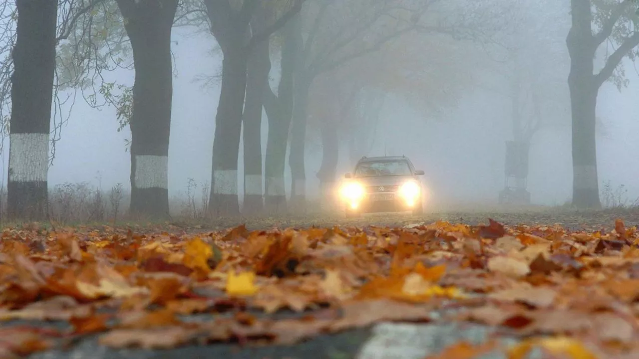 Wetter in Bayern: Der Dienstag beginnt mit Nebel, später zeigt sich die Sonne