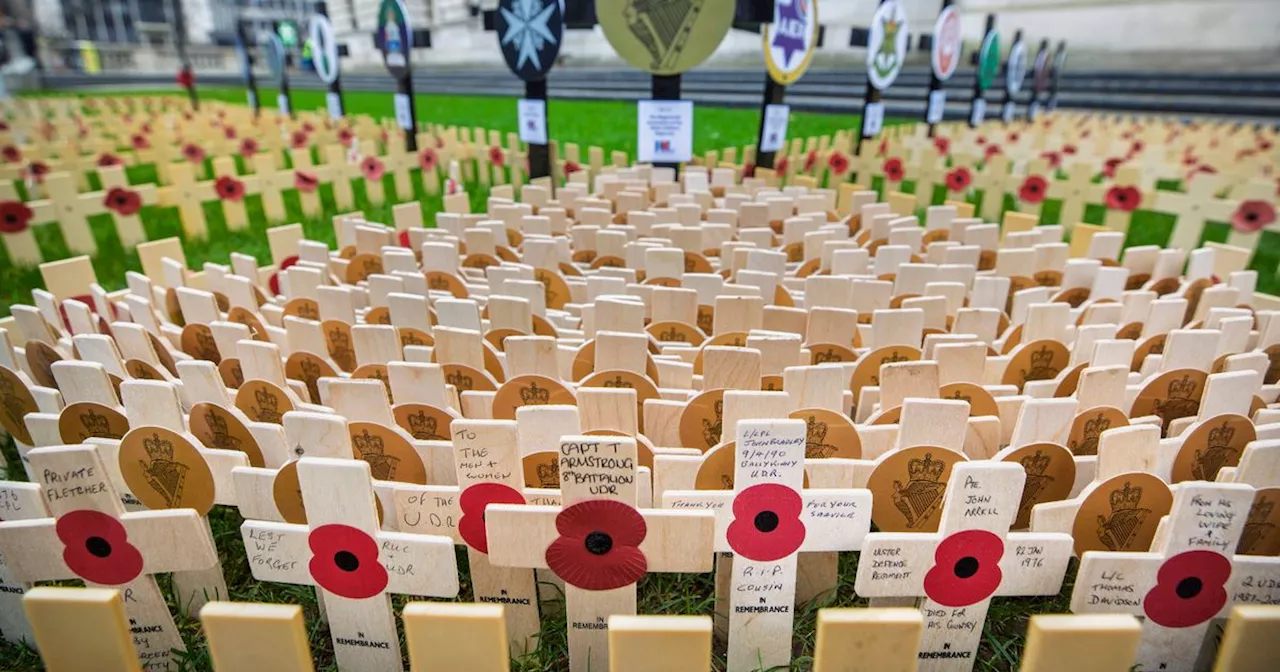 In pictures: 2024 Belfast Field of Remembrance officially opened