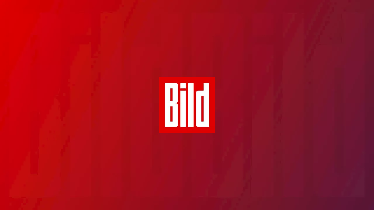 BILD-Leser-Reporter & BILD kämpft für Sie: Aktuelle News und Videos