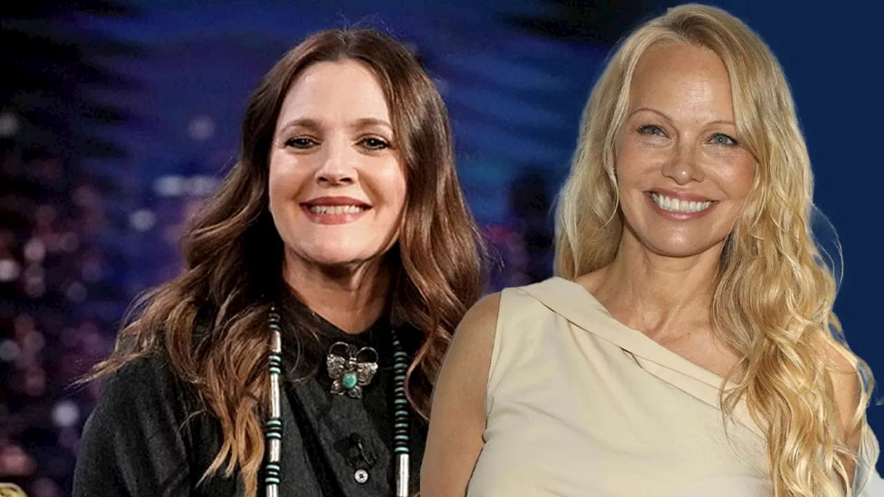 Pamela Anderson und Drew Barrymore: Frag mich bloß nicht, ob ich noch Single bin!