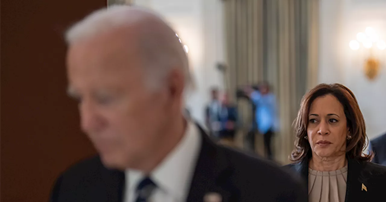 Democrat Officials: ‘If Anyone Should Get the Blame for a Trump Win, It’s Biden’