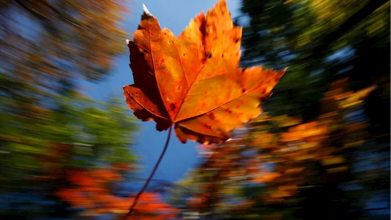 Pennsylvanians can vote on their favorite fall activities in 'Best of Fall' contest