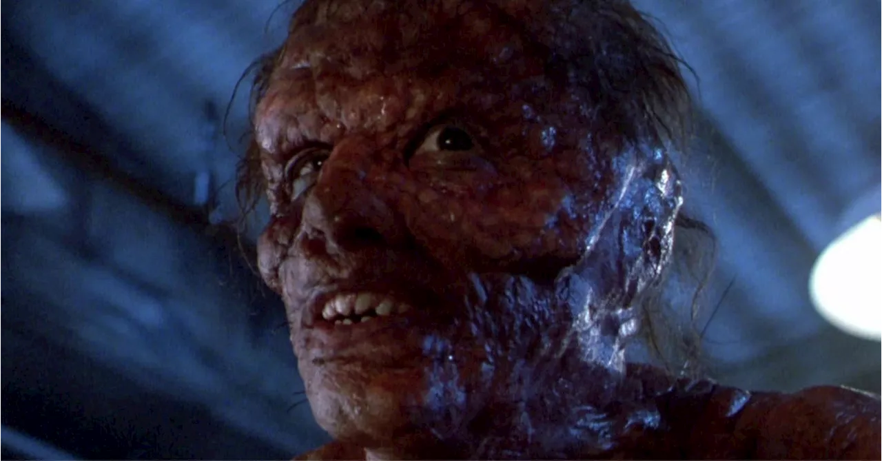 New The Fly in the Works With Surprise Connection to David Cronenberg’s Film